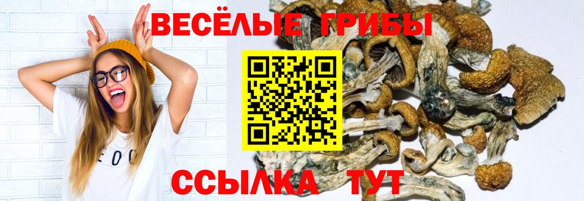 Псилоцибиновые грибы прущие грибы  Вход с VPN  Мегион  Псилоцибиновые грибы ЛСД 